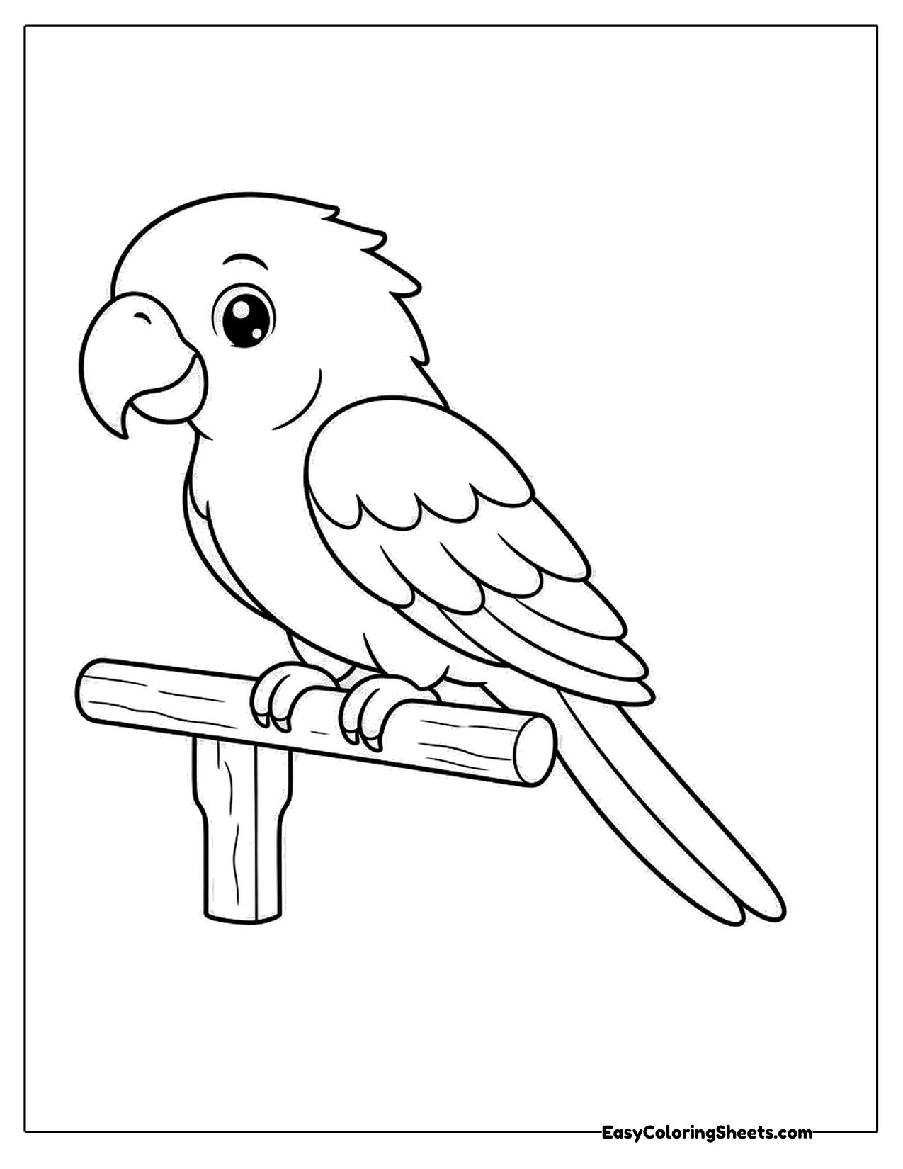 Parrot on a wooden perch