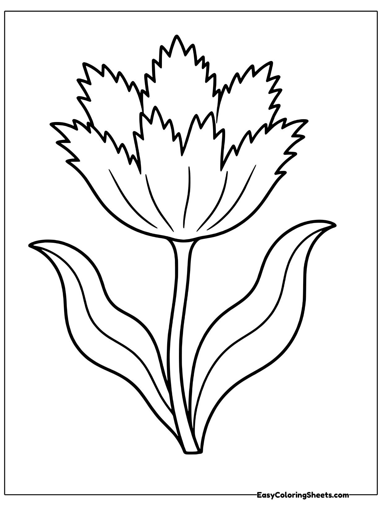 A wide open tulip shows petals with jagged, fringed tips that look like they were trimmed with pinking shears.