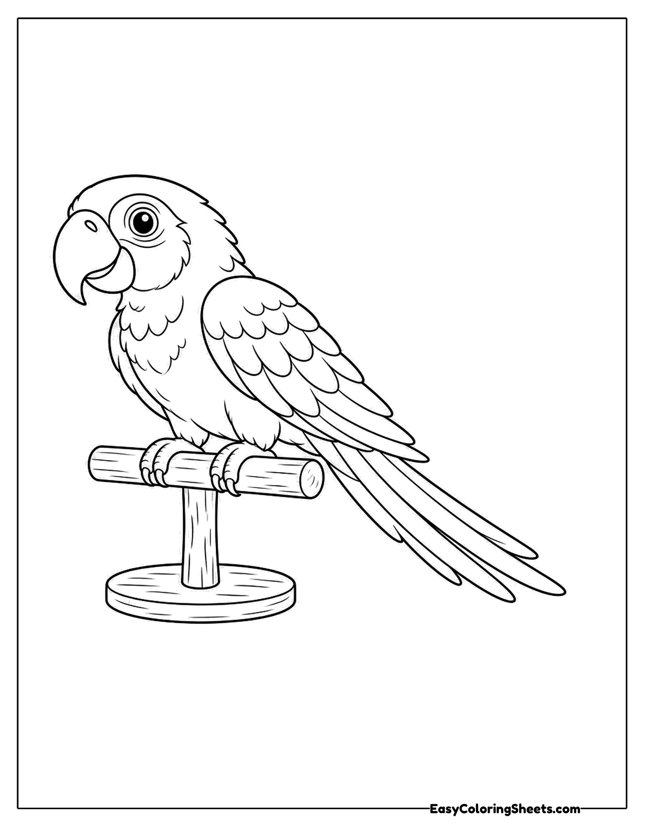 Macaw sitting on a stand perch