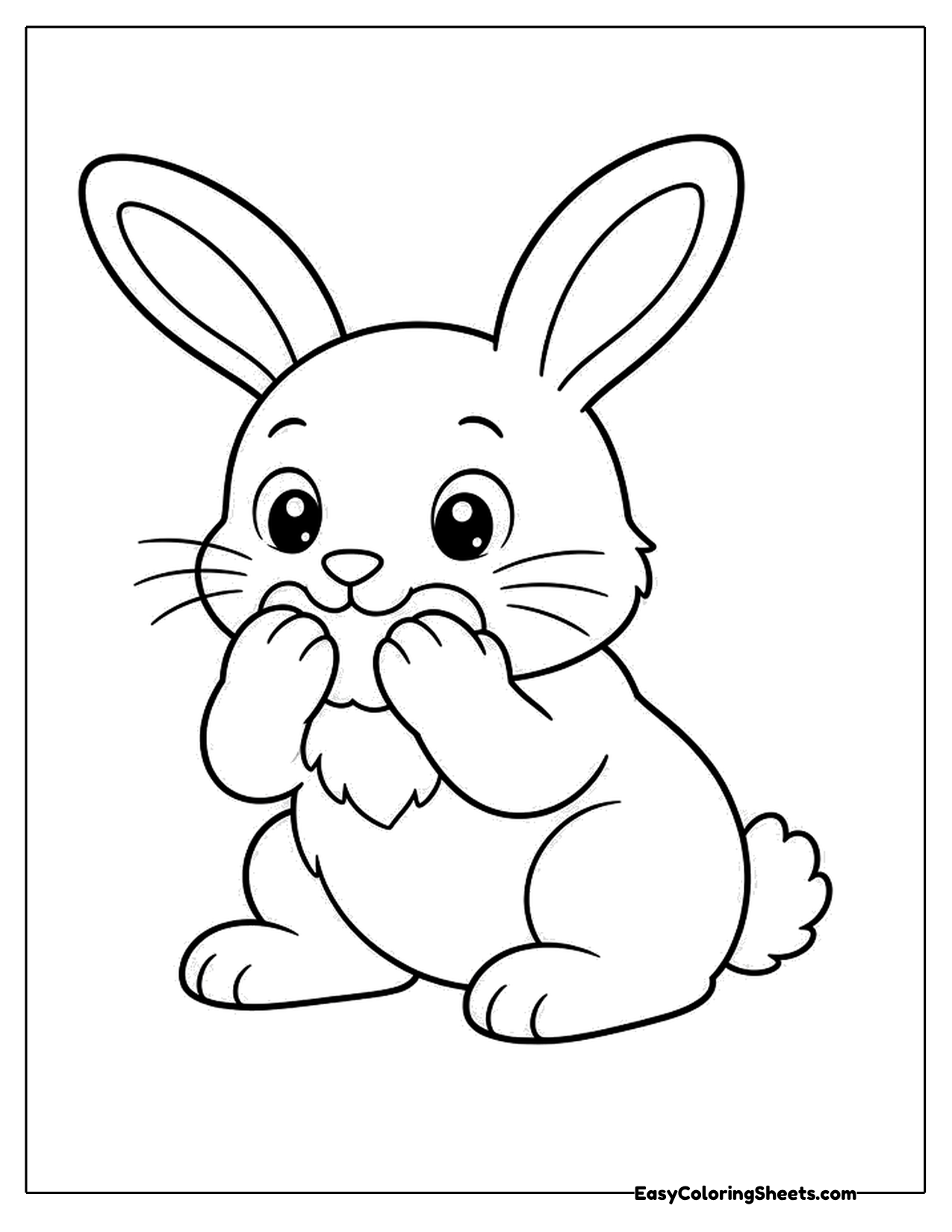 Rabbit rubbing its face with its front paws