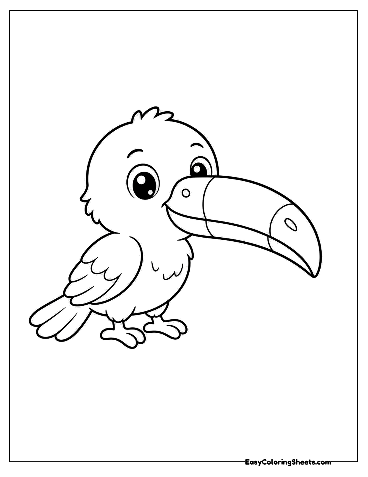 Baby toucan with a big curved beak