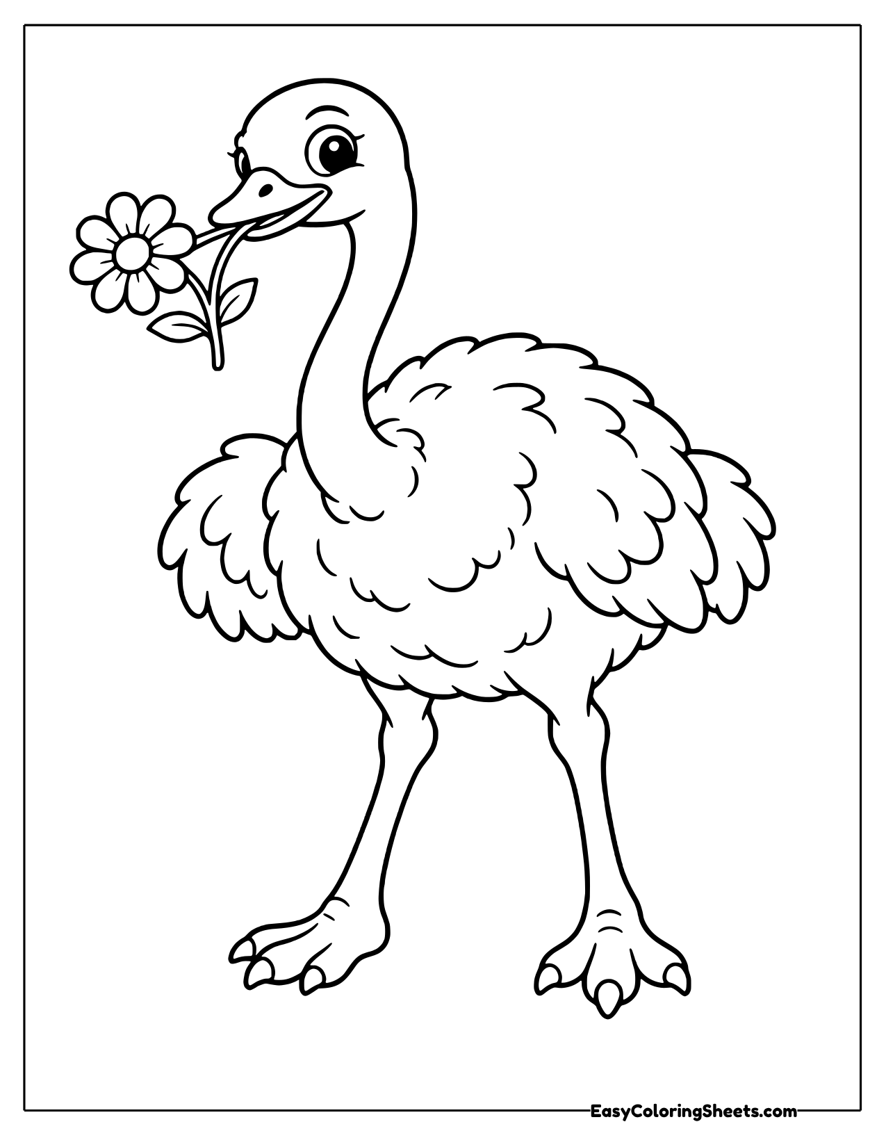 Ostrich holding a daisy in its beak