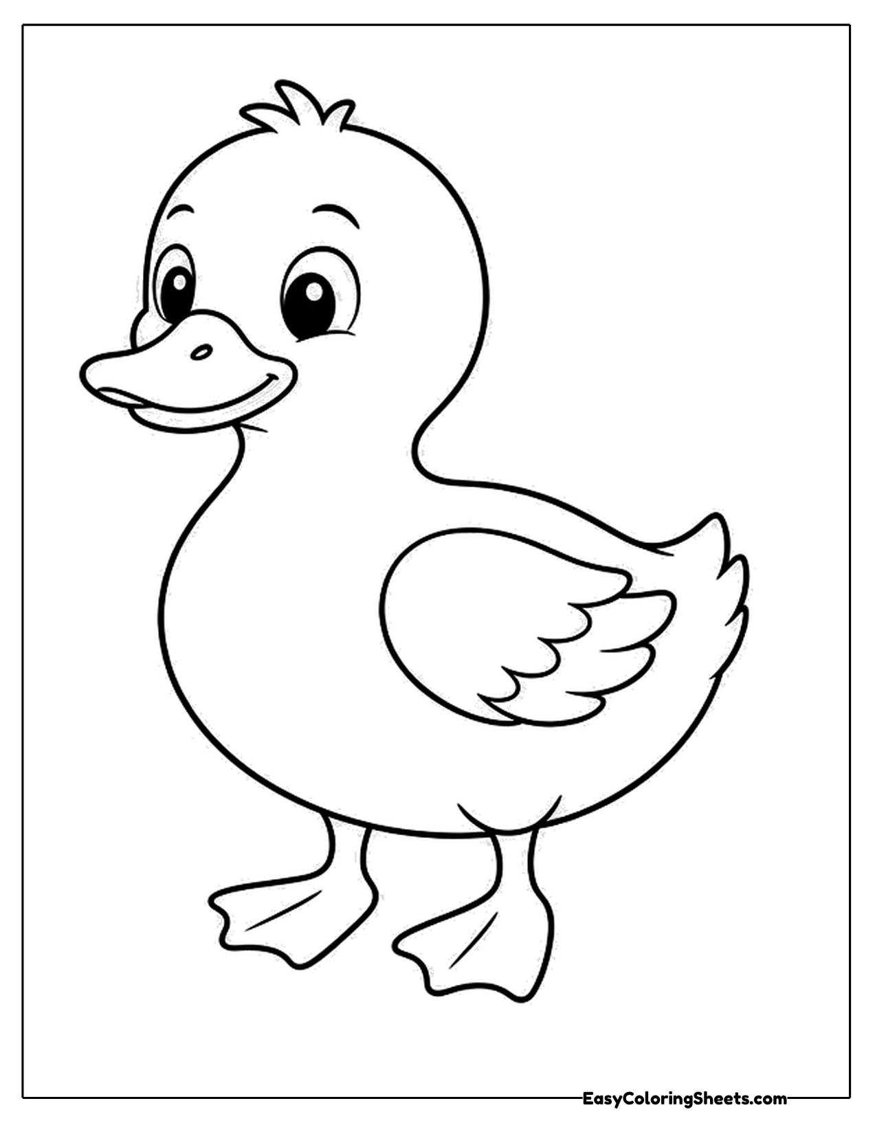 Cute duck standing tall