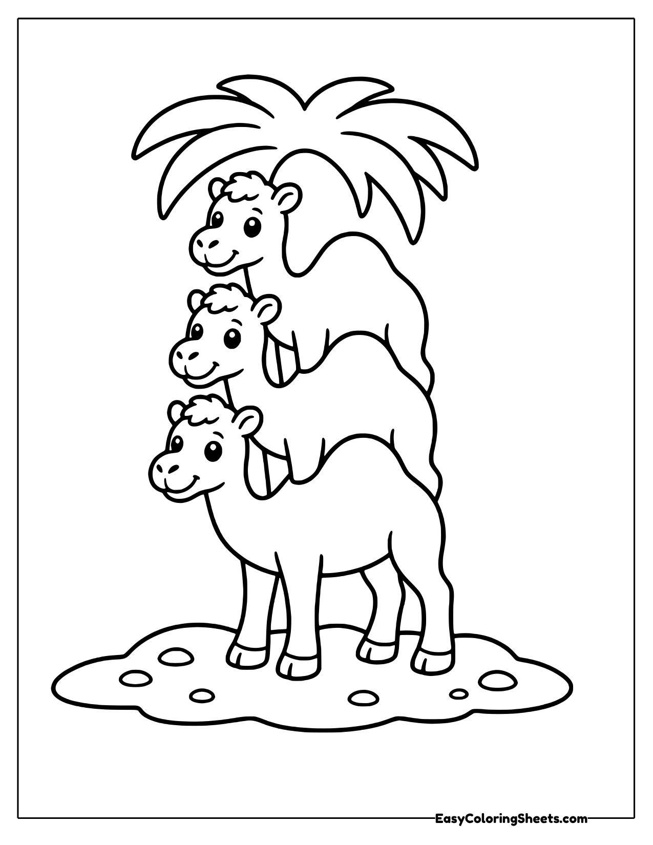 Three camels stacked under a palm tree