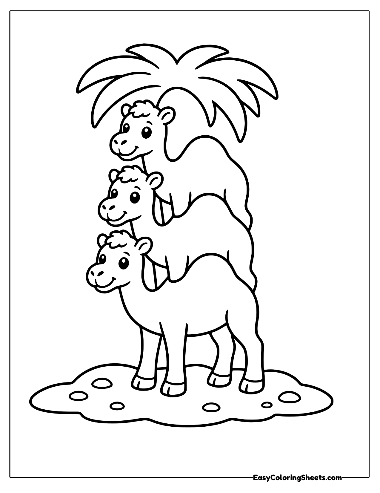 Three camels stacked under a palm tree