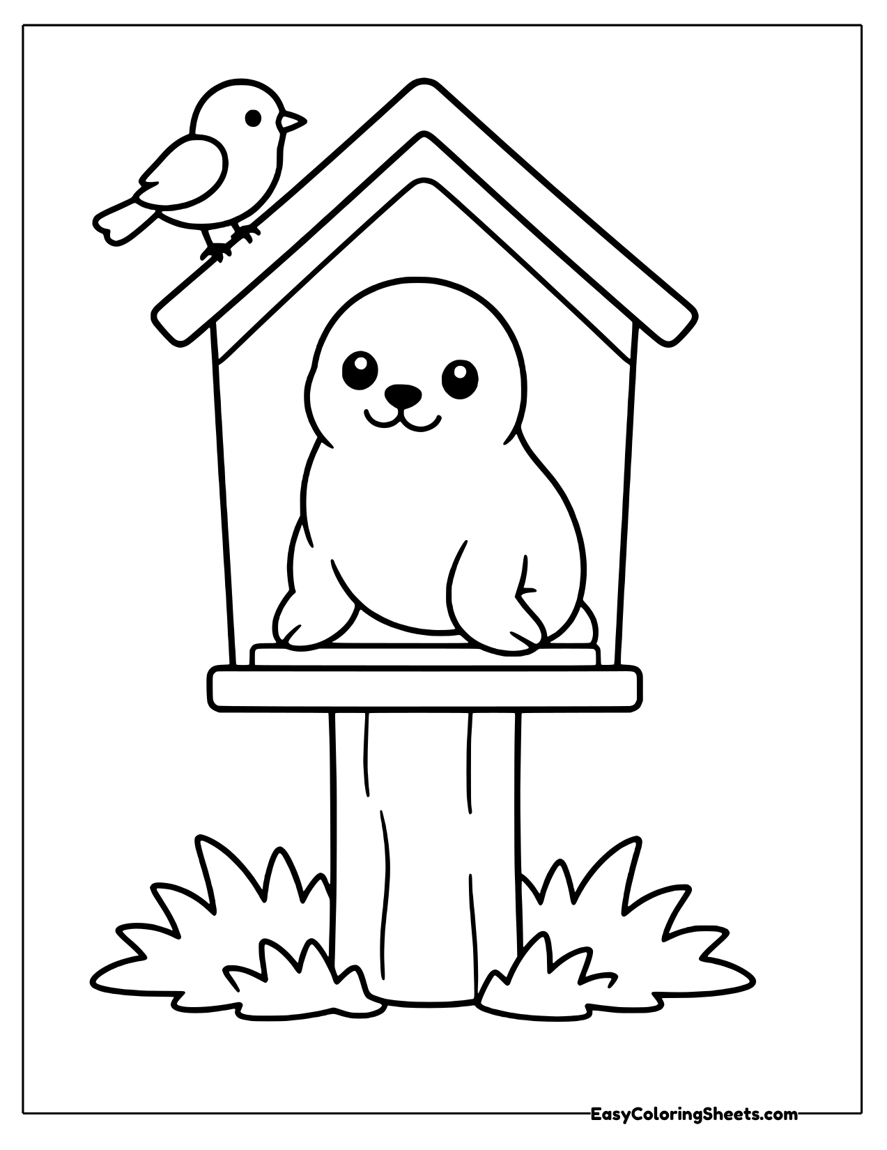 Seal peeking out of a wooden birdhouse with a bird on the roof