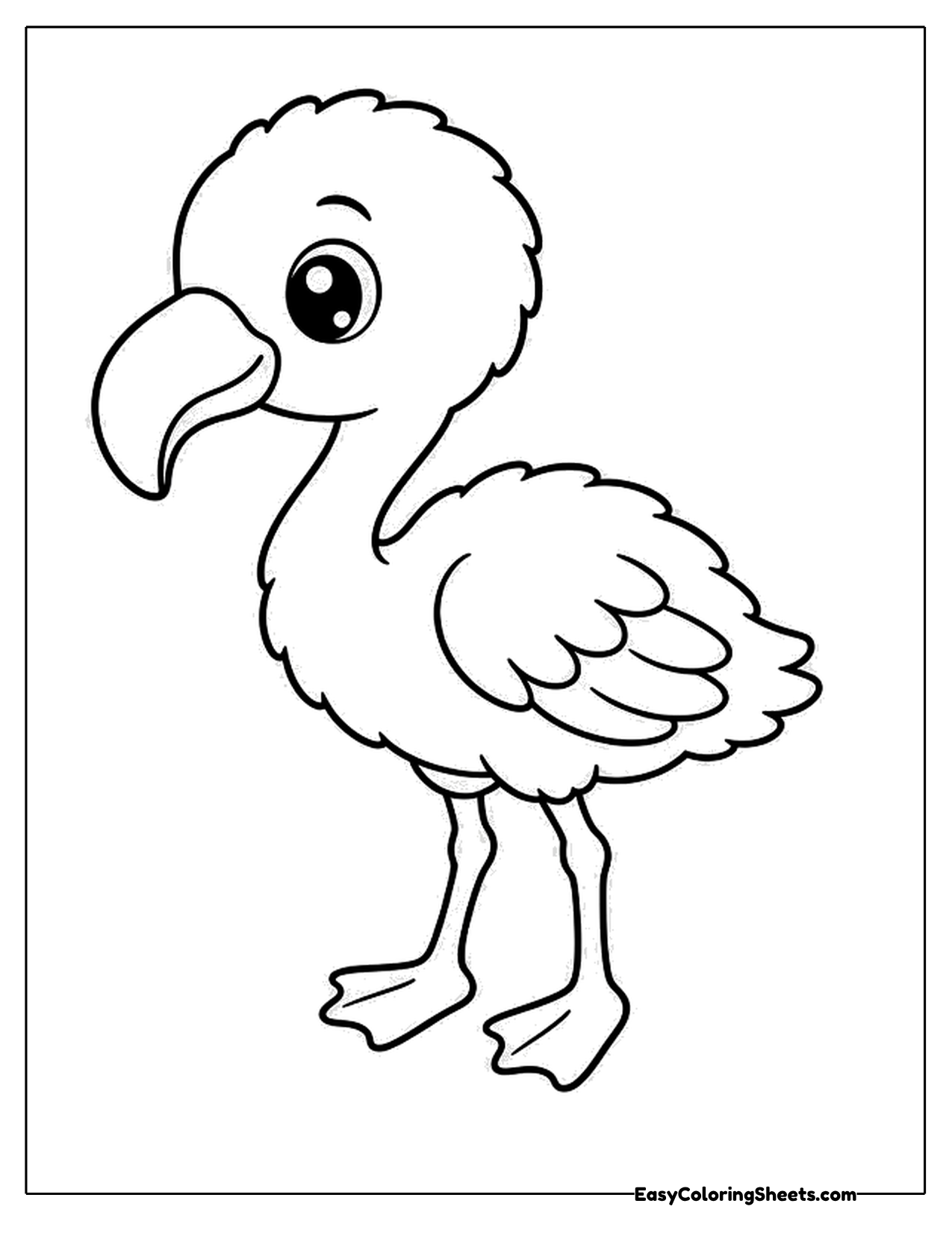 Young flamingo chick standing with a curved beak