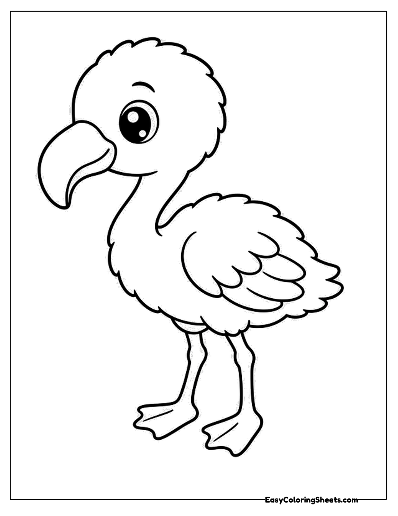 Young flamingo chick standing with a curved beak