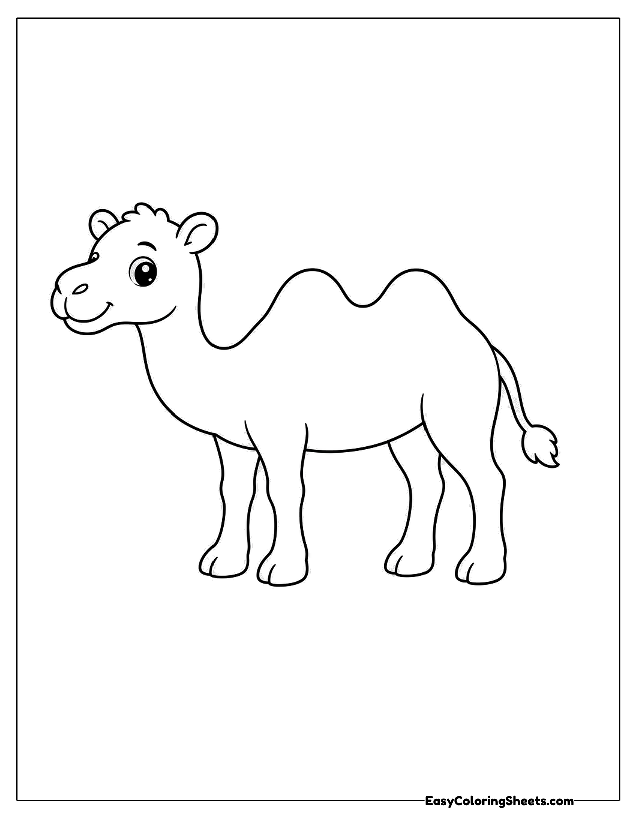 Cute camel with two humps walking