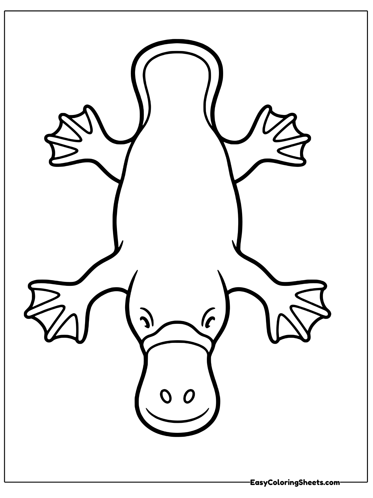 A platypus seen from above dives headfirst with its webbed feet spread and its broad tail at the top.