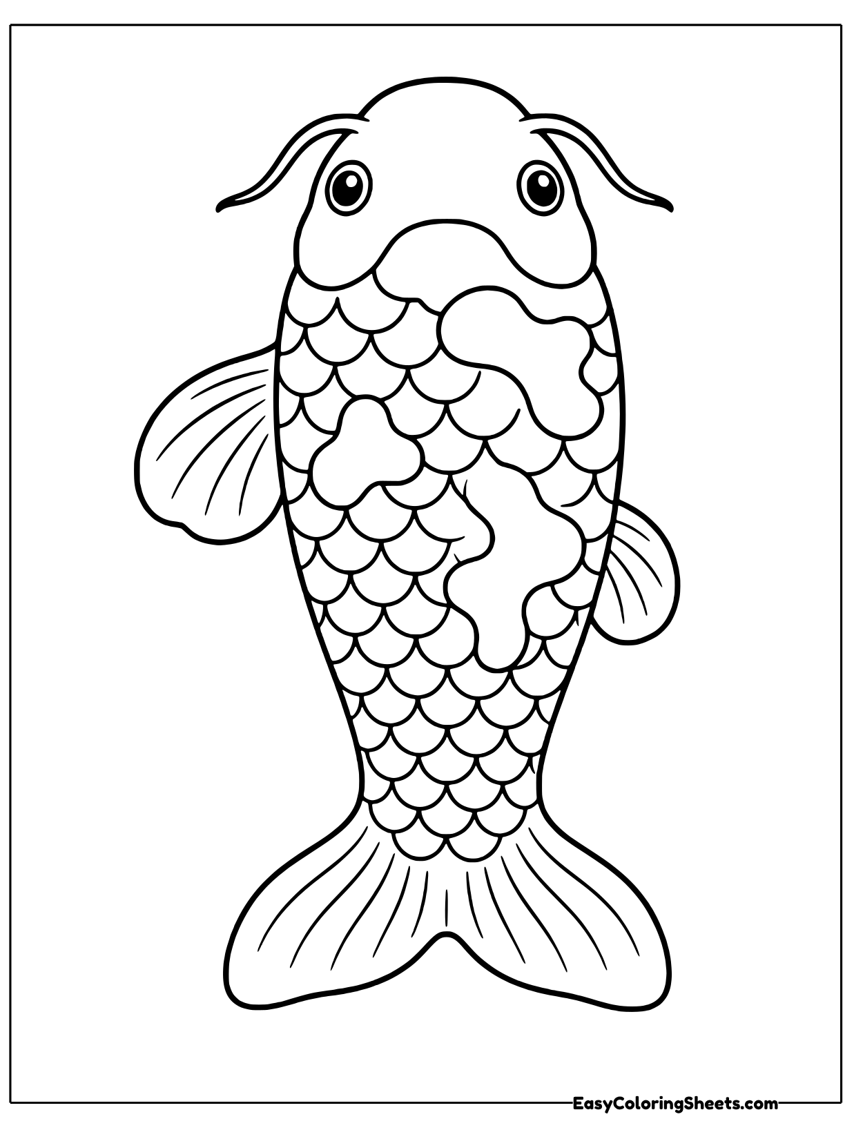 A koi viewed from above shows its whiskers, fins and blotchy patches spread over rows of scales.