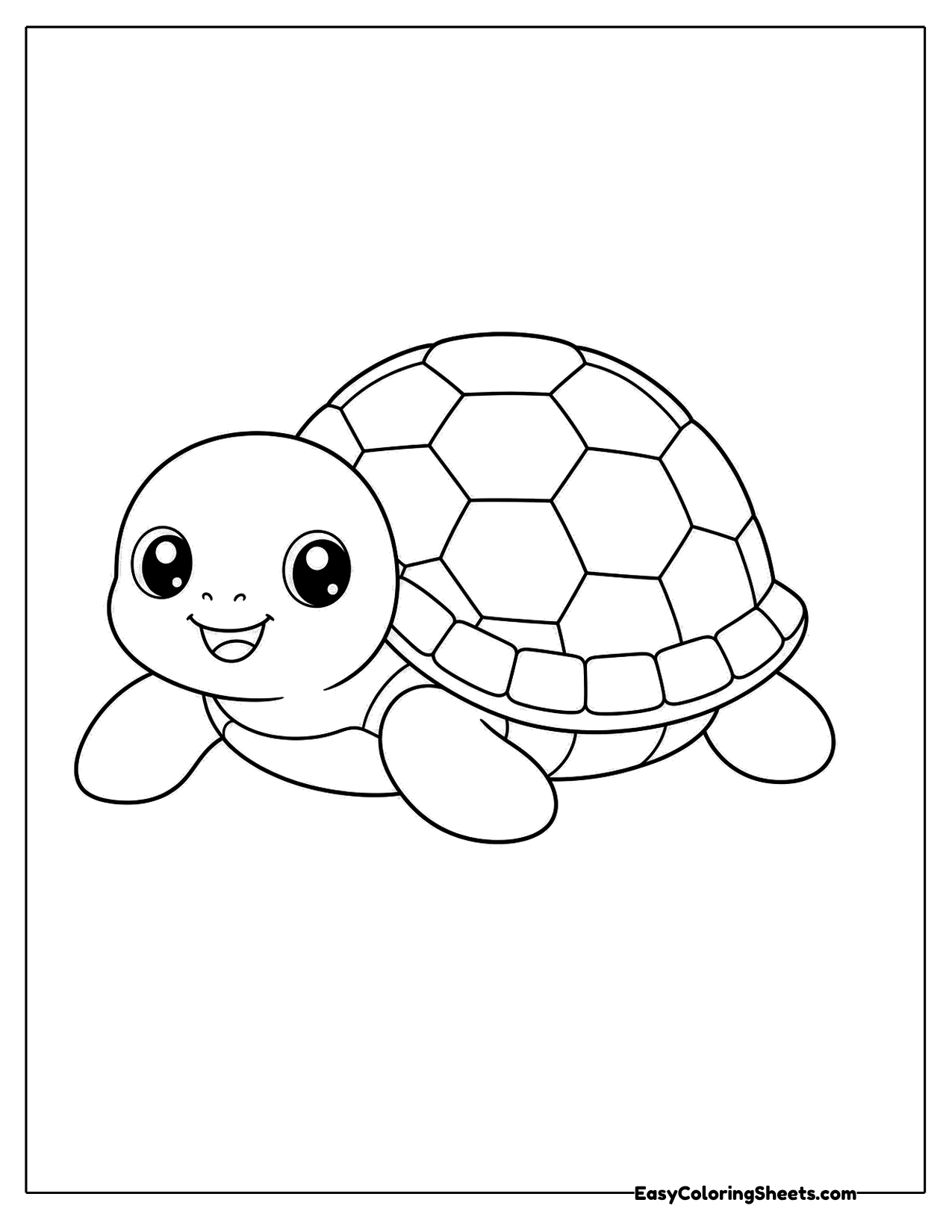 Turtle resting on its tummy