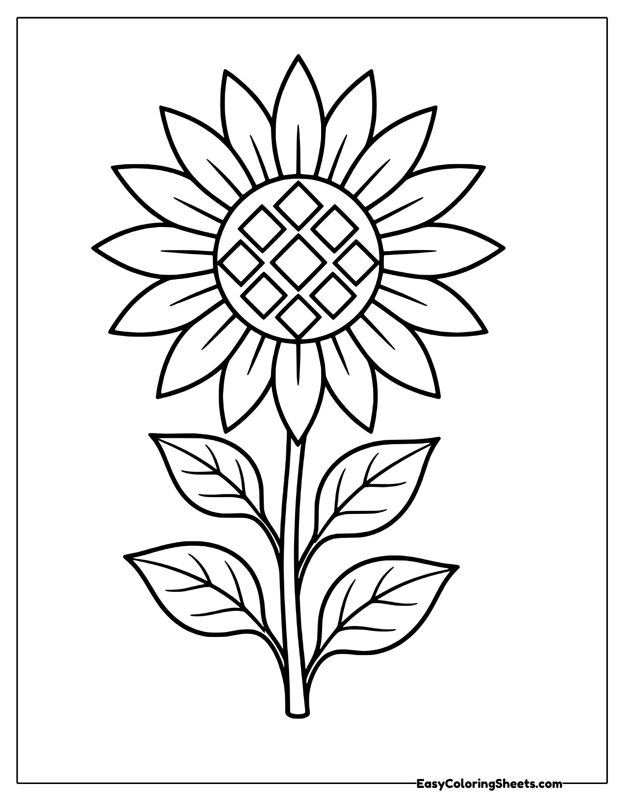 Sunflower with a diamond patterned center