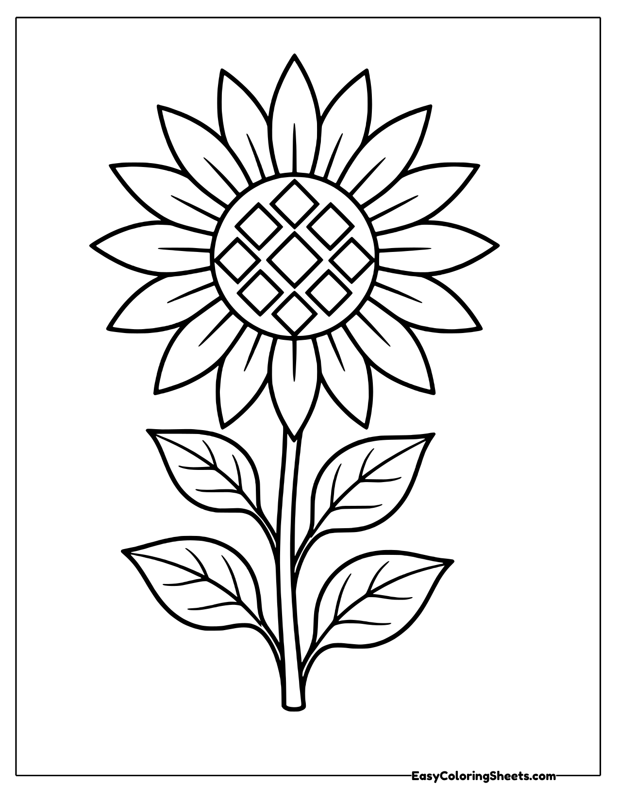 Sunflower with a diamond patterned center