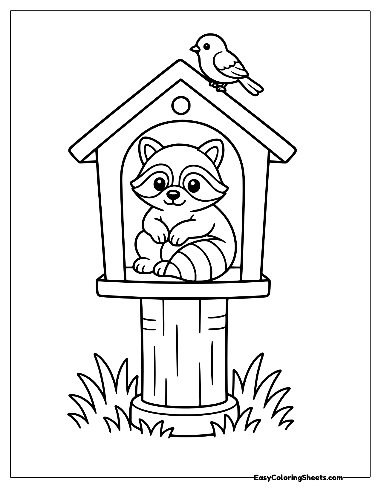 Raccoon in a birdhouse with a bird on top