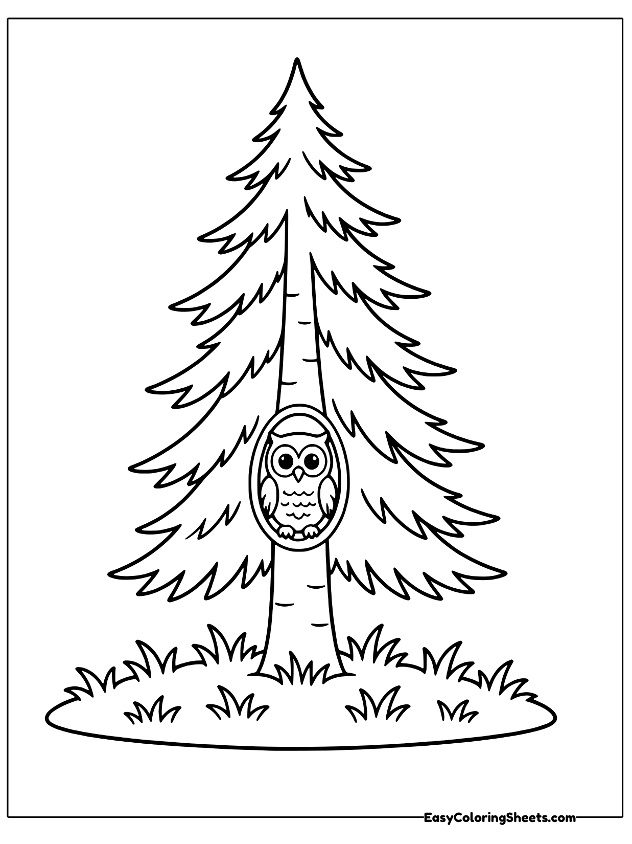 A tall evergreen fills this page, and a small owl peeks out from a round hollow in the trunk.