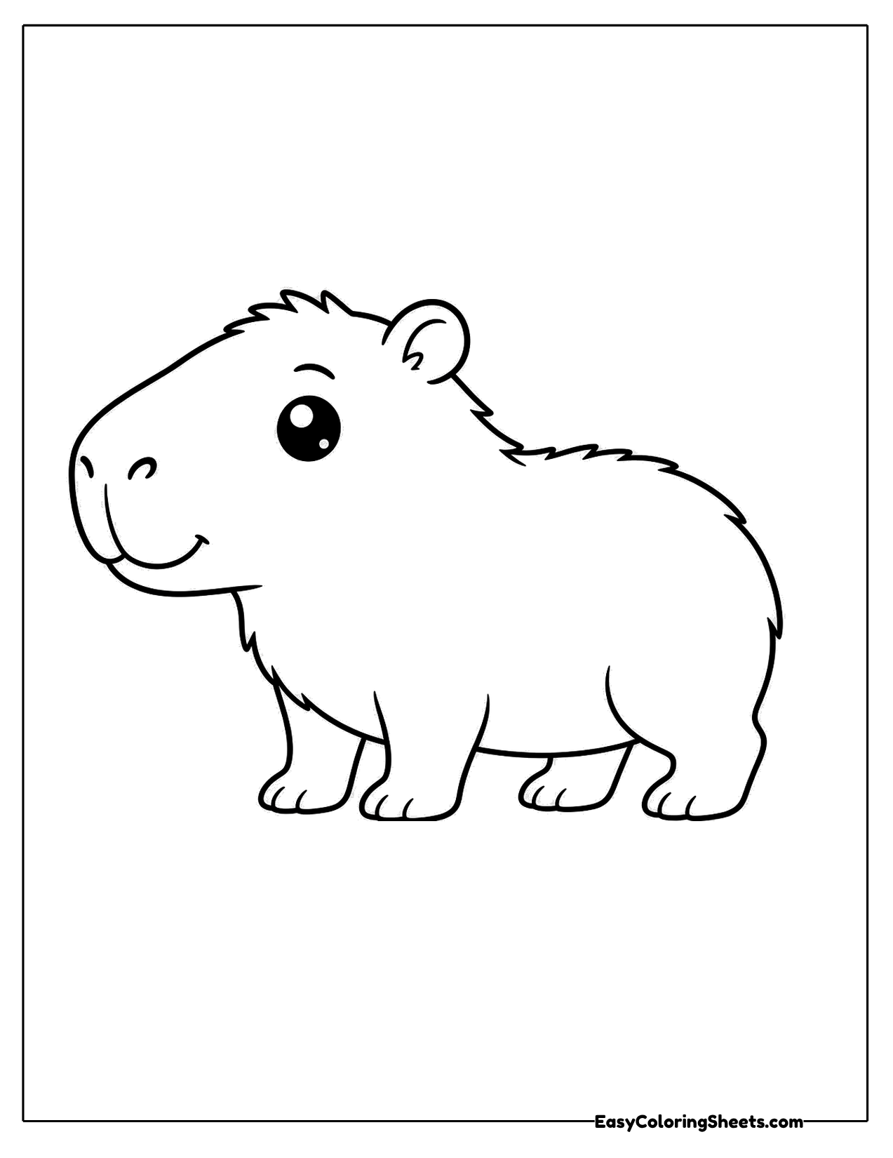 Capybara in side profile