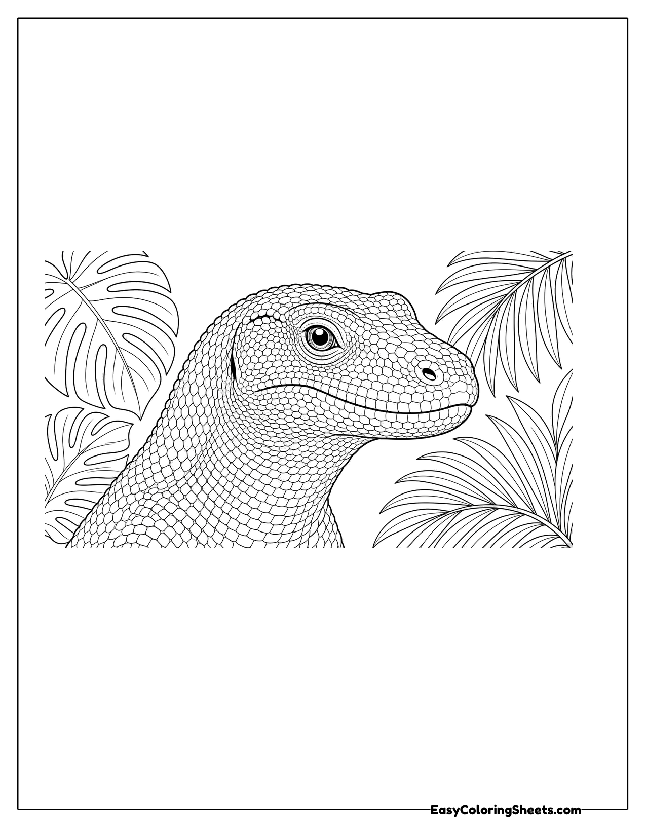 Close up of a Komodo dragon head