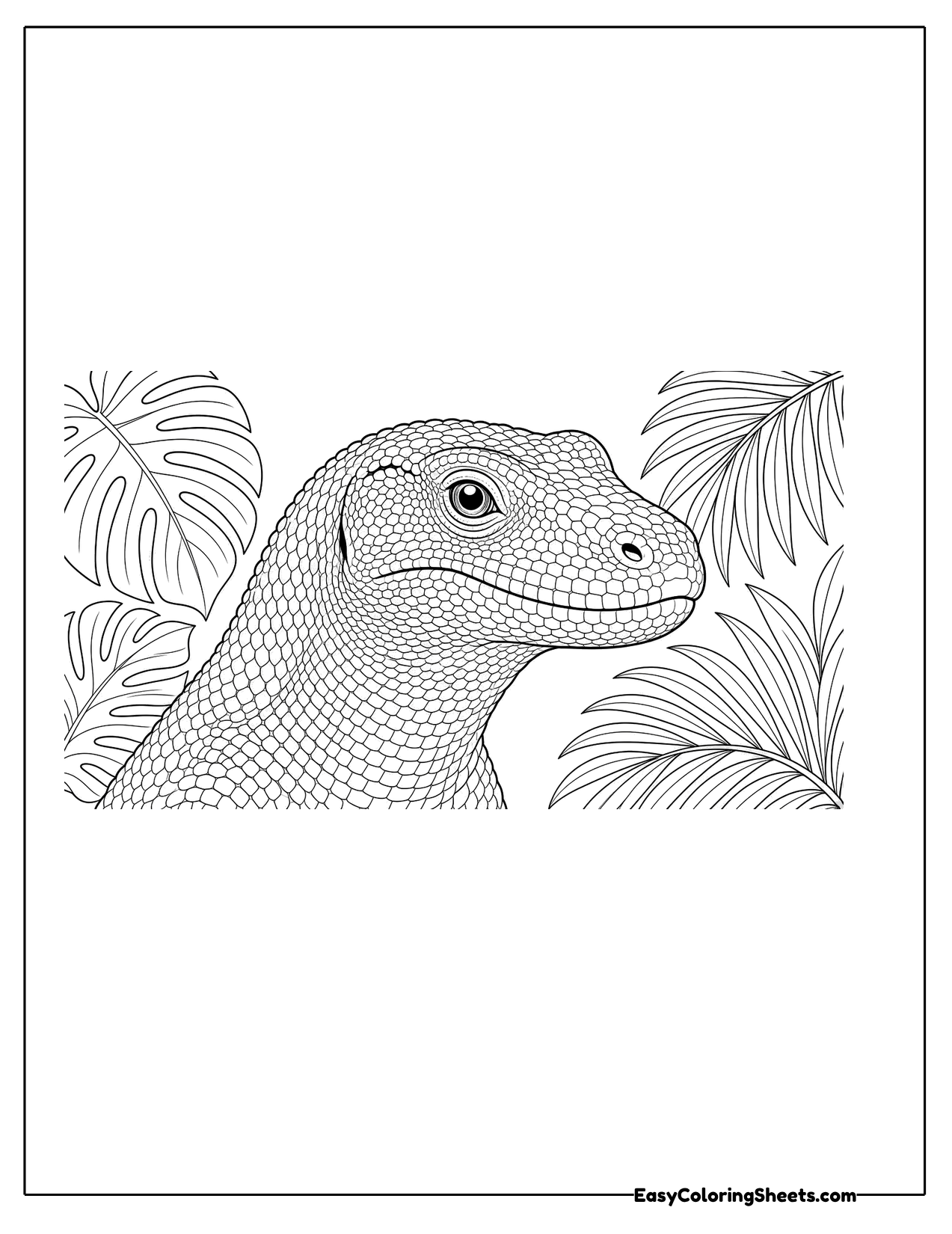 Close up of a Komodo dragon head