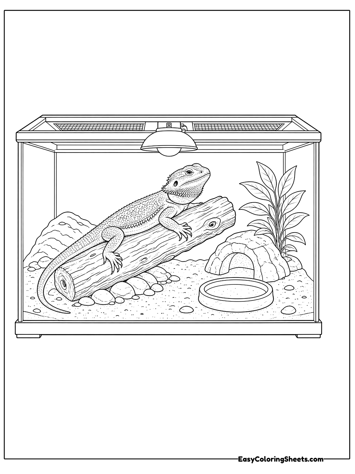 A bearded dragon rests on a log inside a glass tank with a plant and a dish.