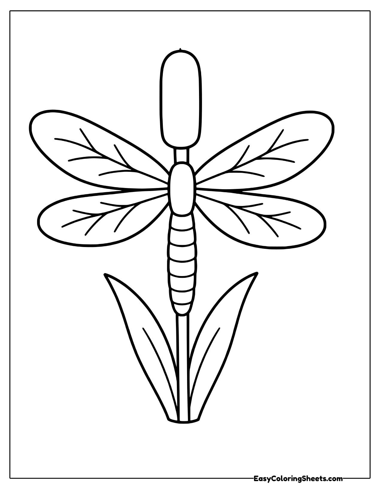 Dragonfly perched on a cattail