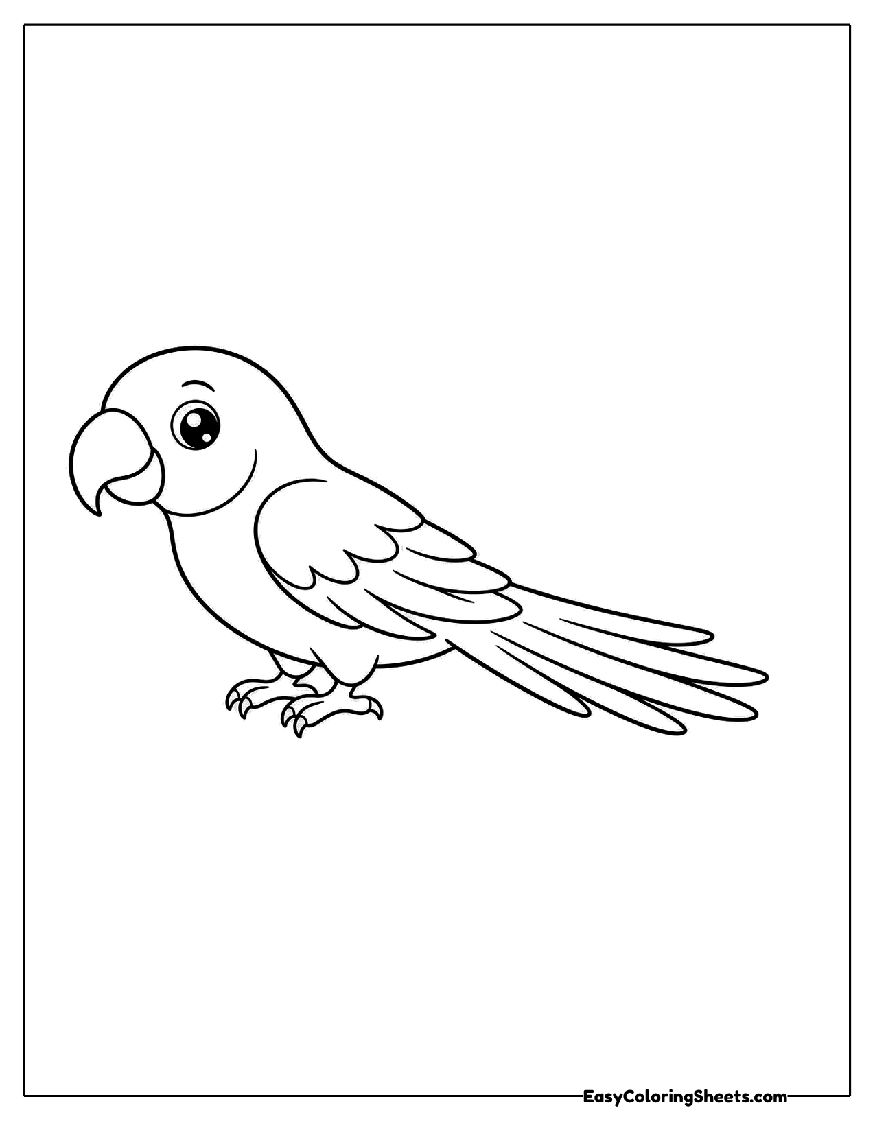 Cute parrot perched in profile