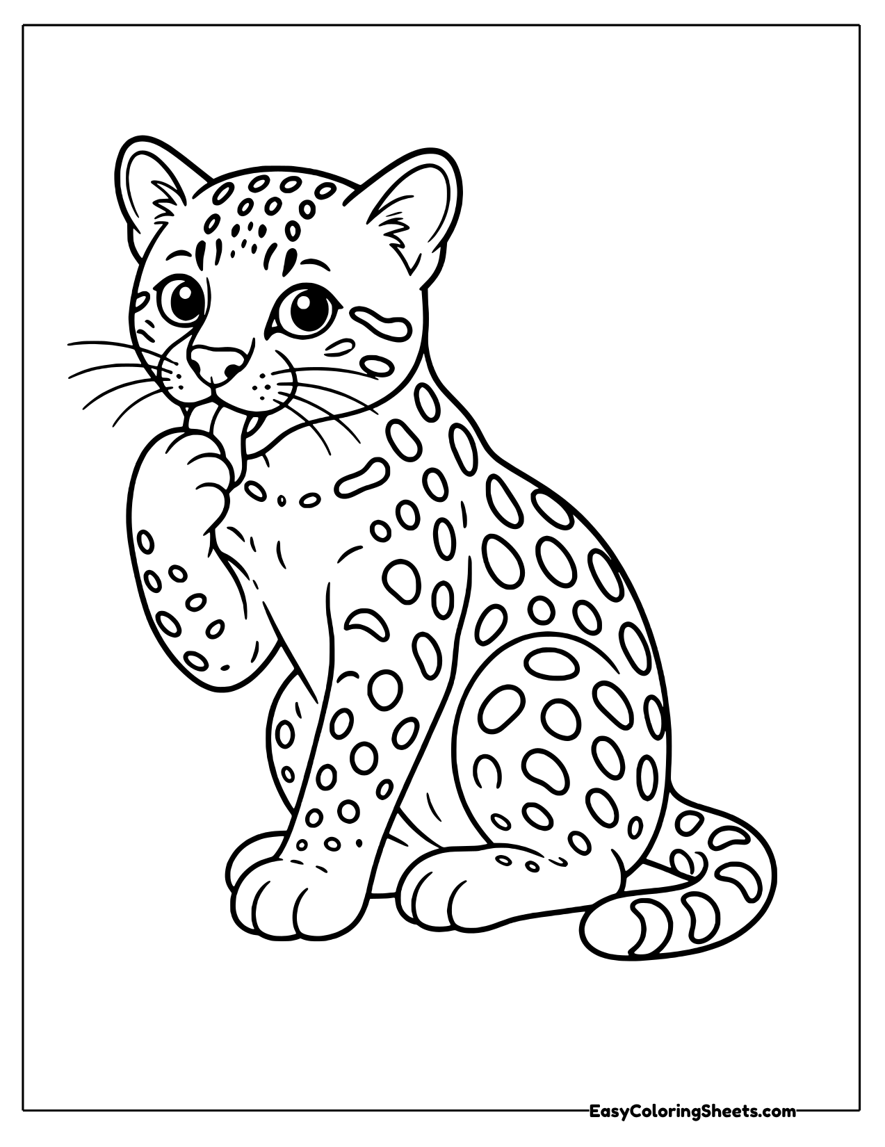 Ocelot grooming its paw