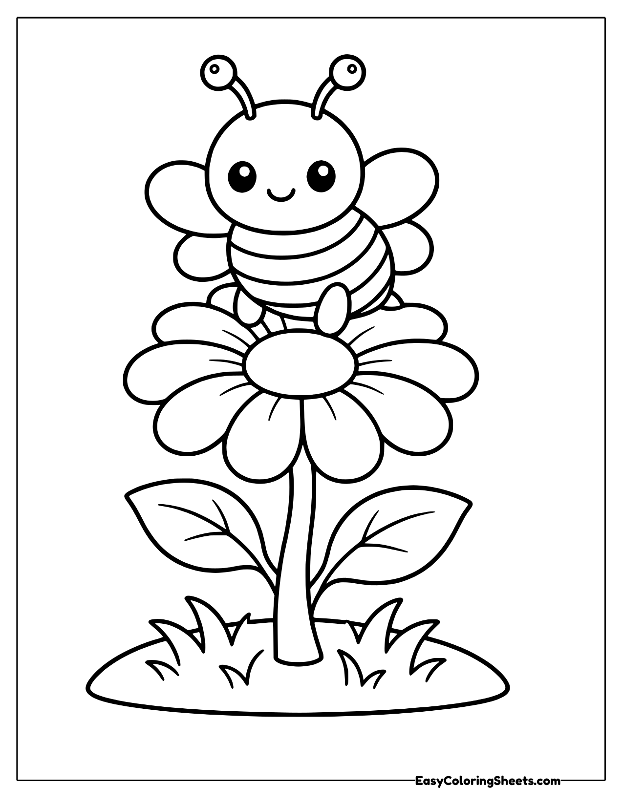 Chubby bee sitting on a wide daisy