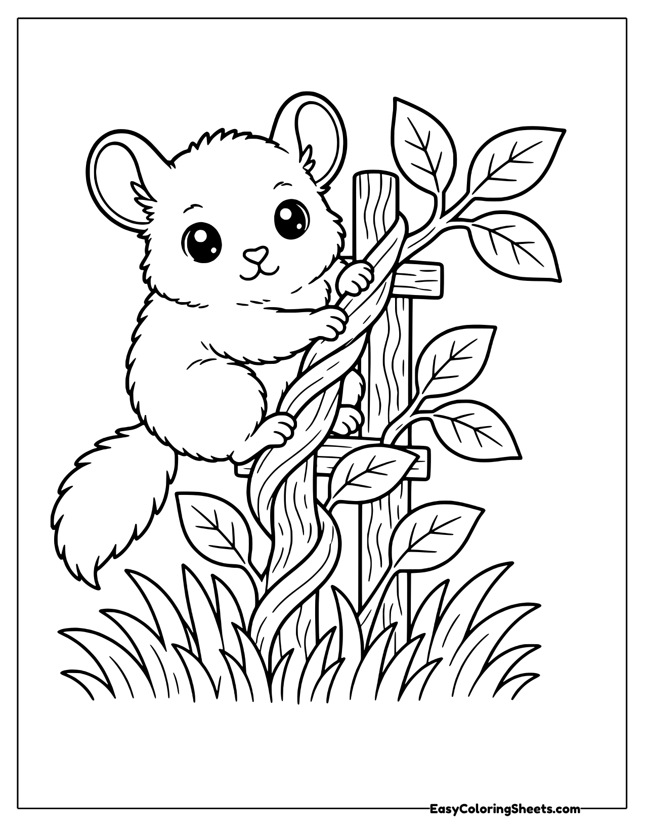 Chinchilla climbing a vine on a trellis
