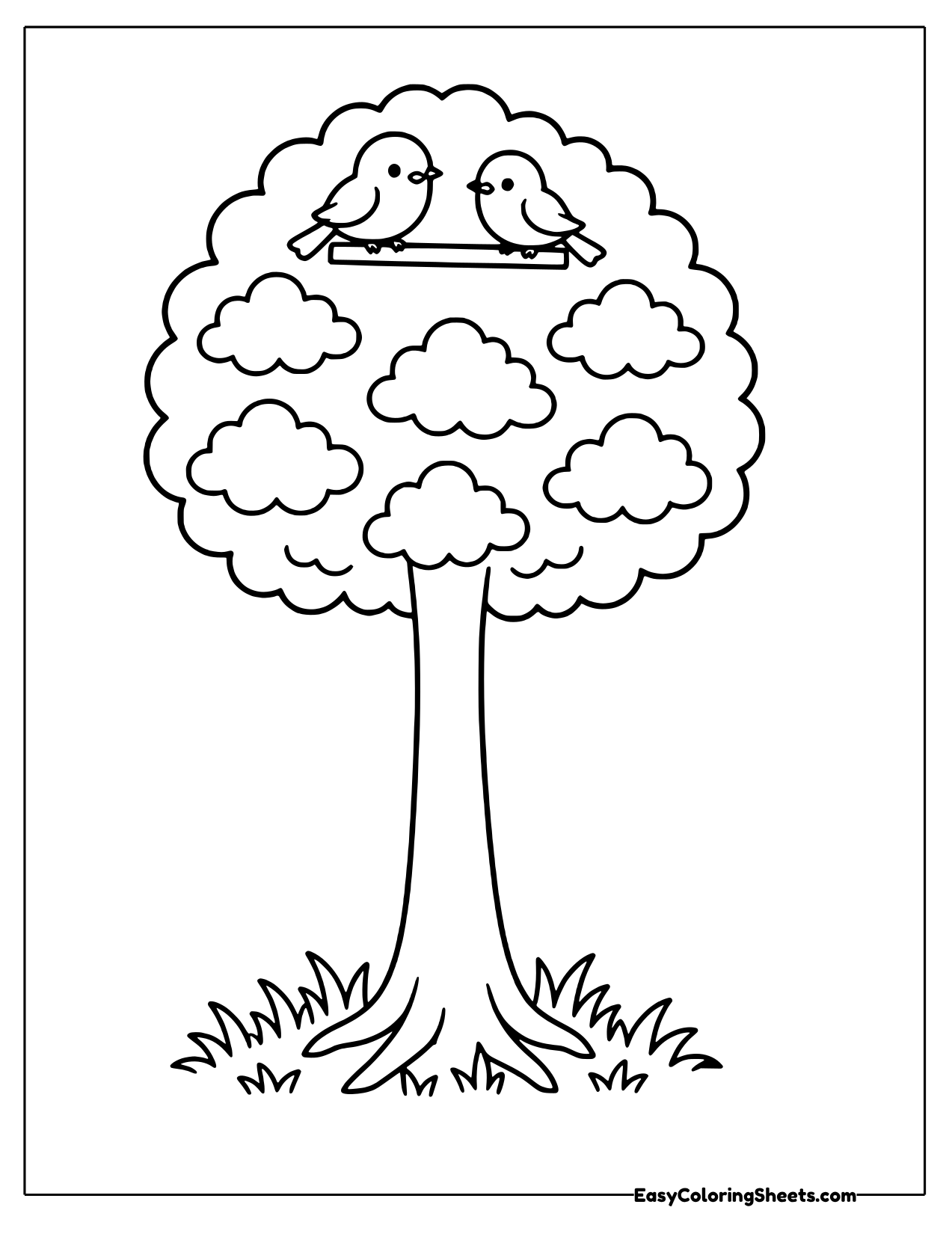 Tree with a bubbly canopy and birds