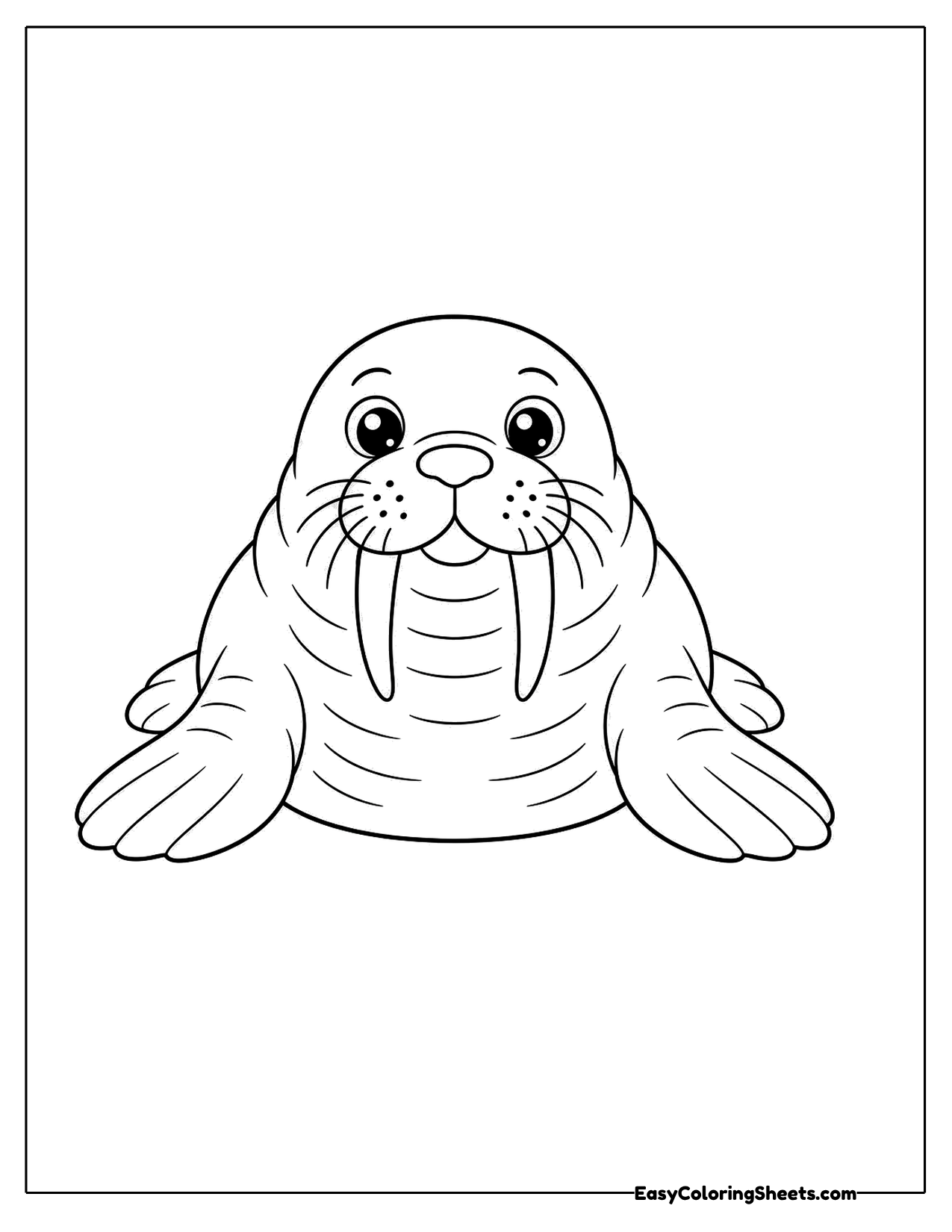 Cute walrus lying with tusks and whiskers