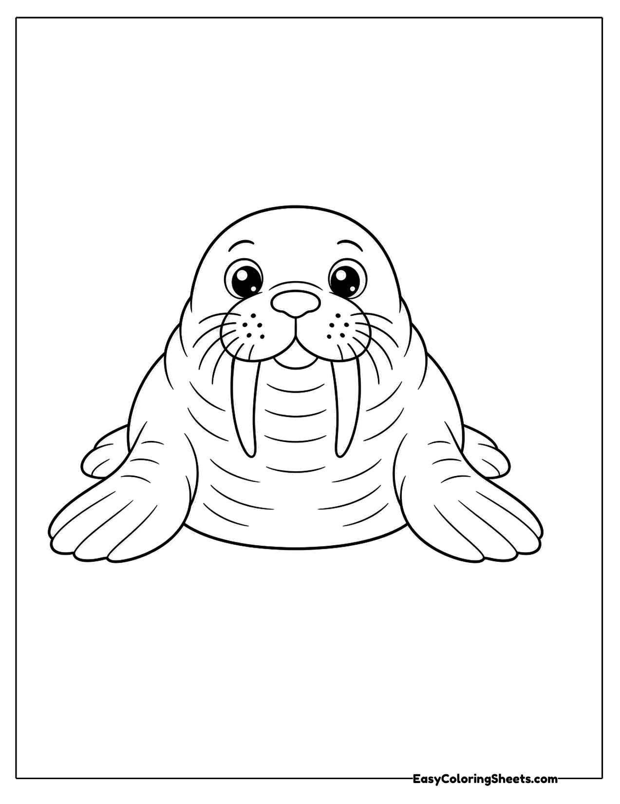 Cute walrus lying with tusks and whiskers
