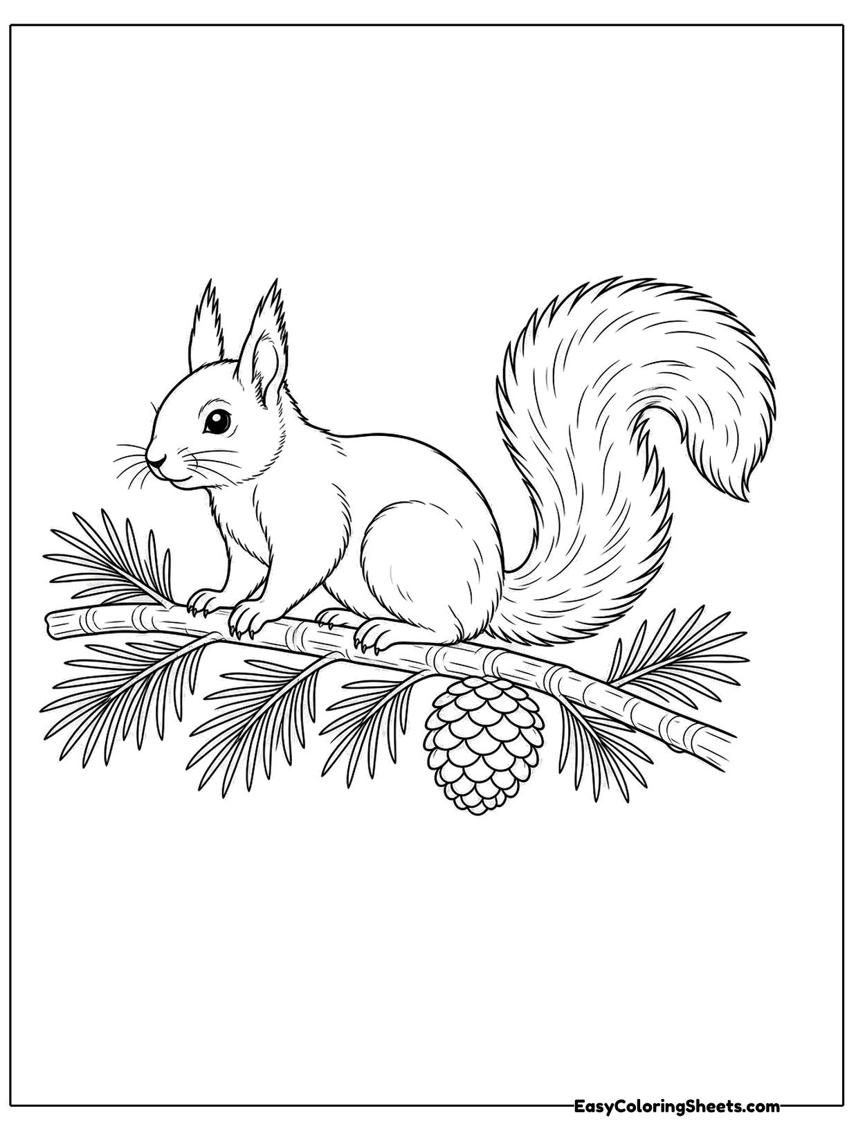 A fluffy red squirrel sits on a long pine branch lined with needles, with a pine cone hanging just below.