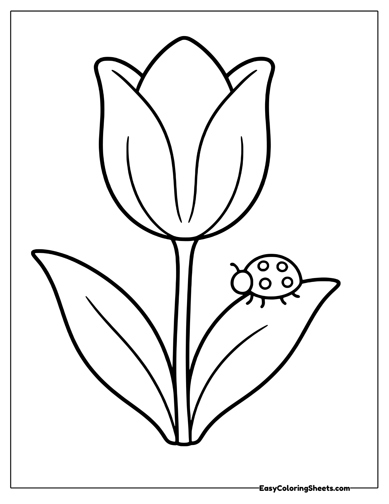 Tulip with a ladybug resting on a leaf