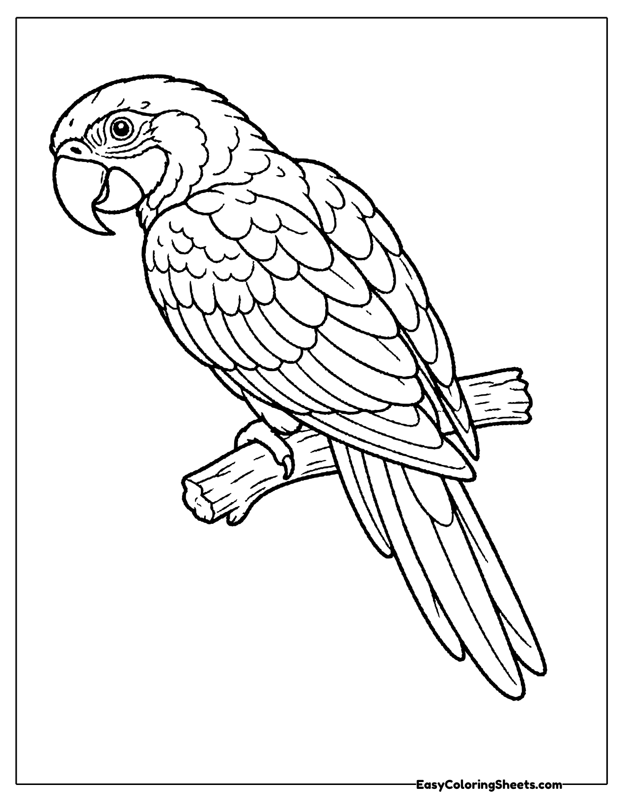 Realistic macaw perched on a branch