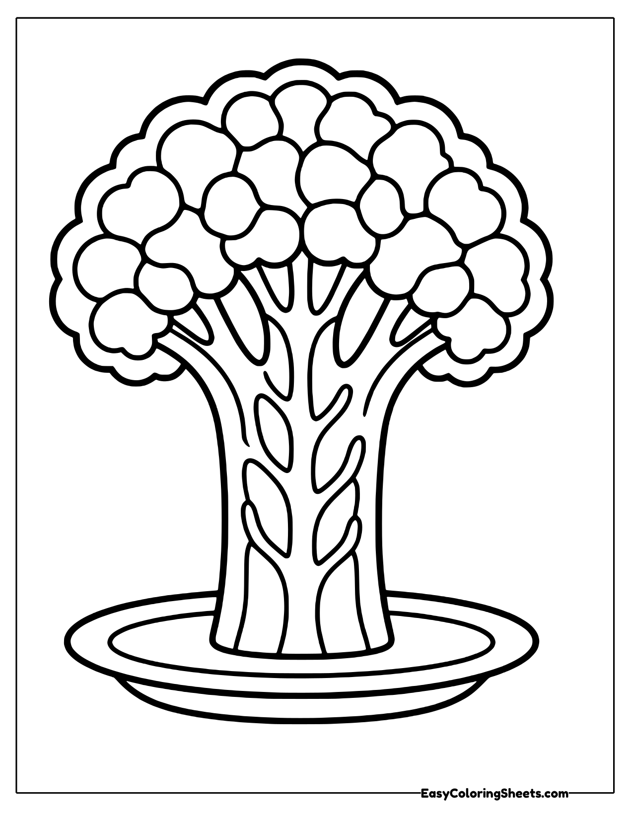 Broccoli cut open to show its branches
