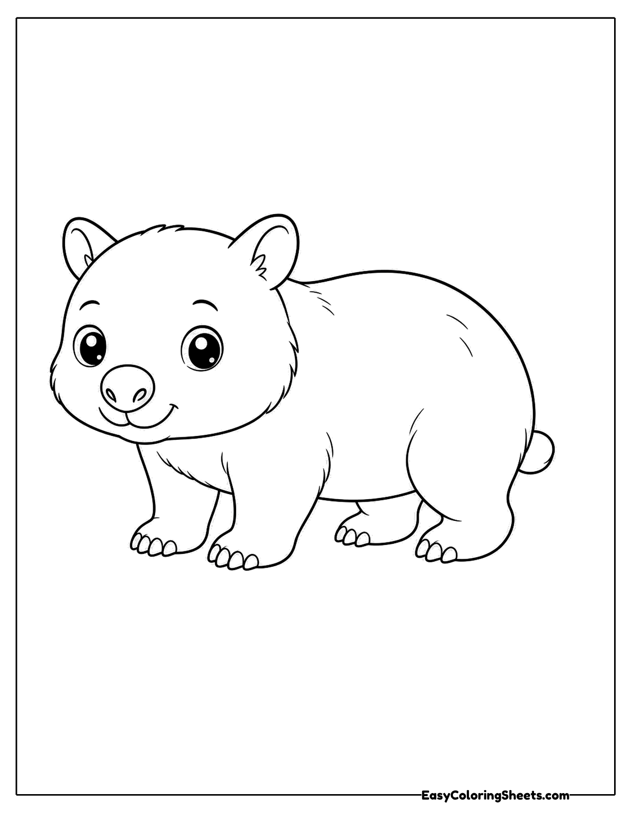 Baby wombat walking