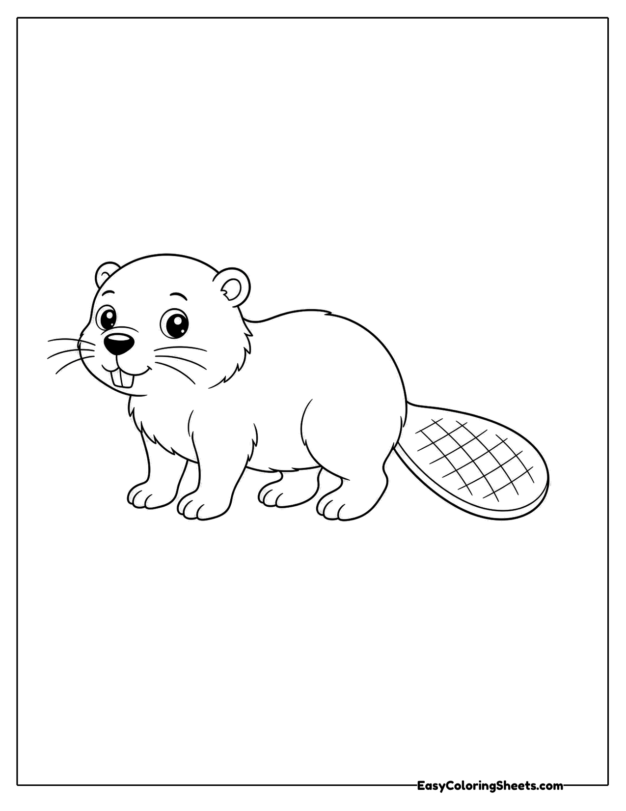 Cute beaver walking in side view