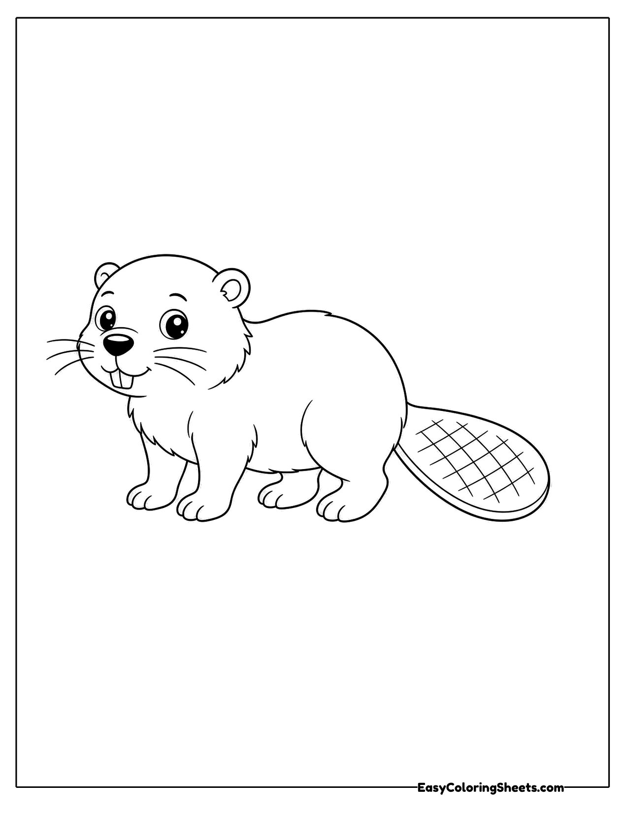 Cute beaver walking in side view