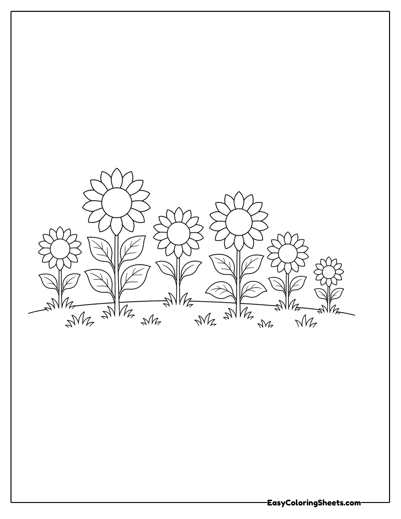 Field of small sunflowers in a row