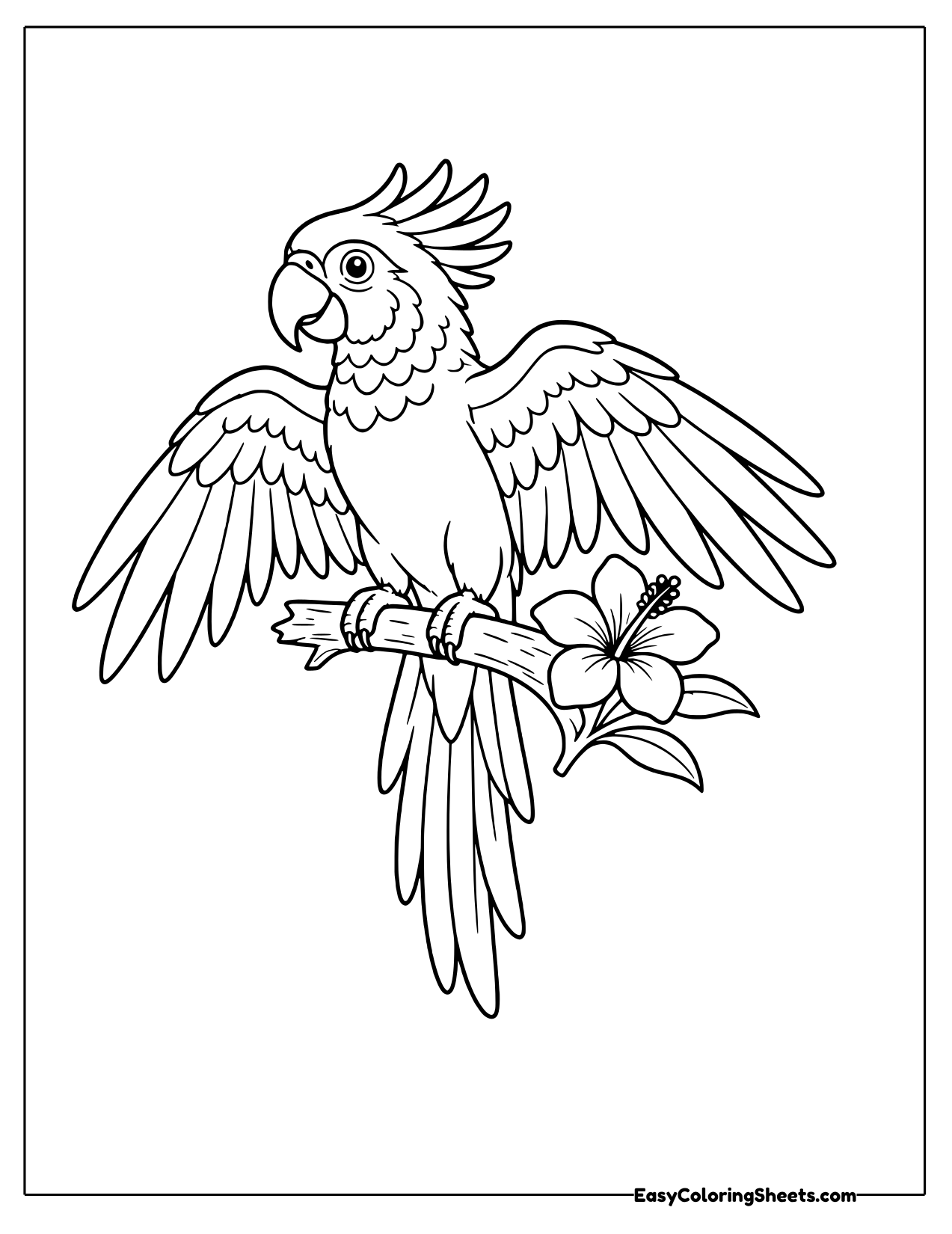 Macaw with open wings above a hibiscus flower