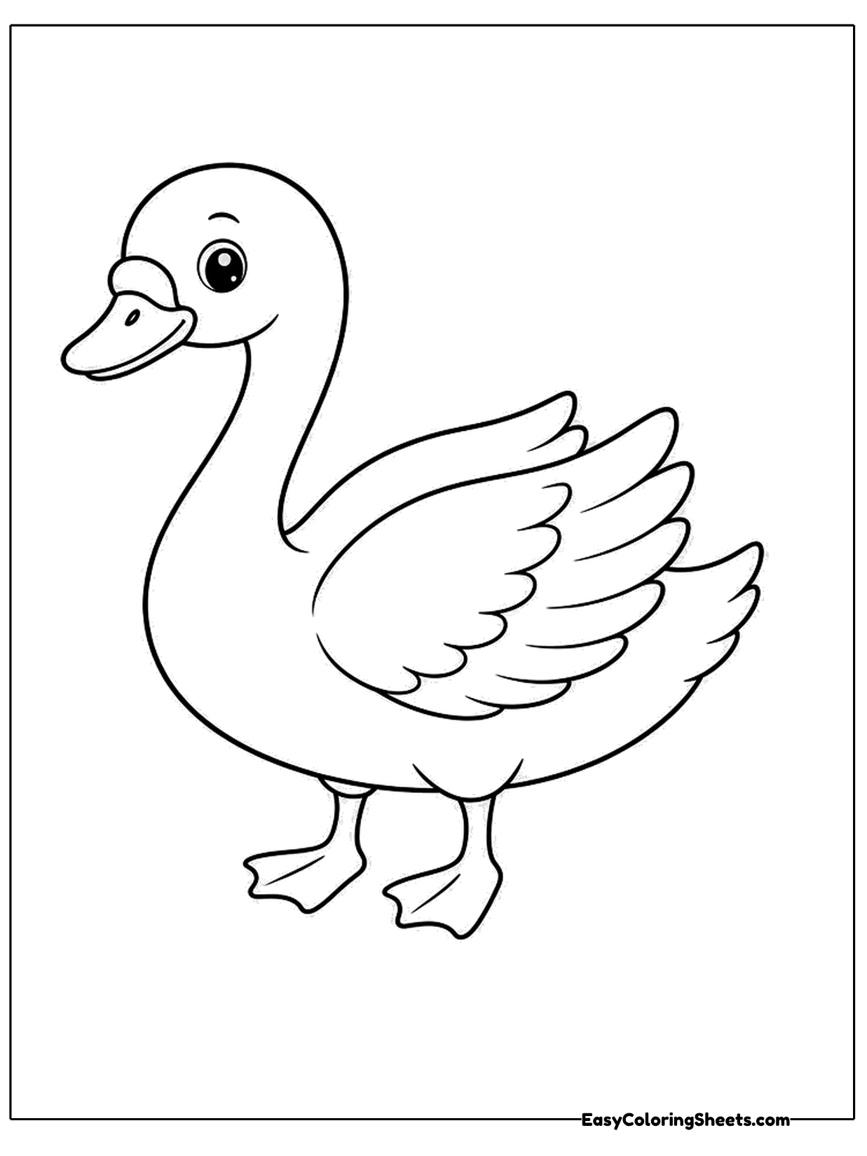 A friendly swan with large shiny eyes and layered wing feathers stands on webbed feet.