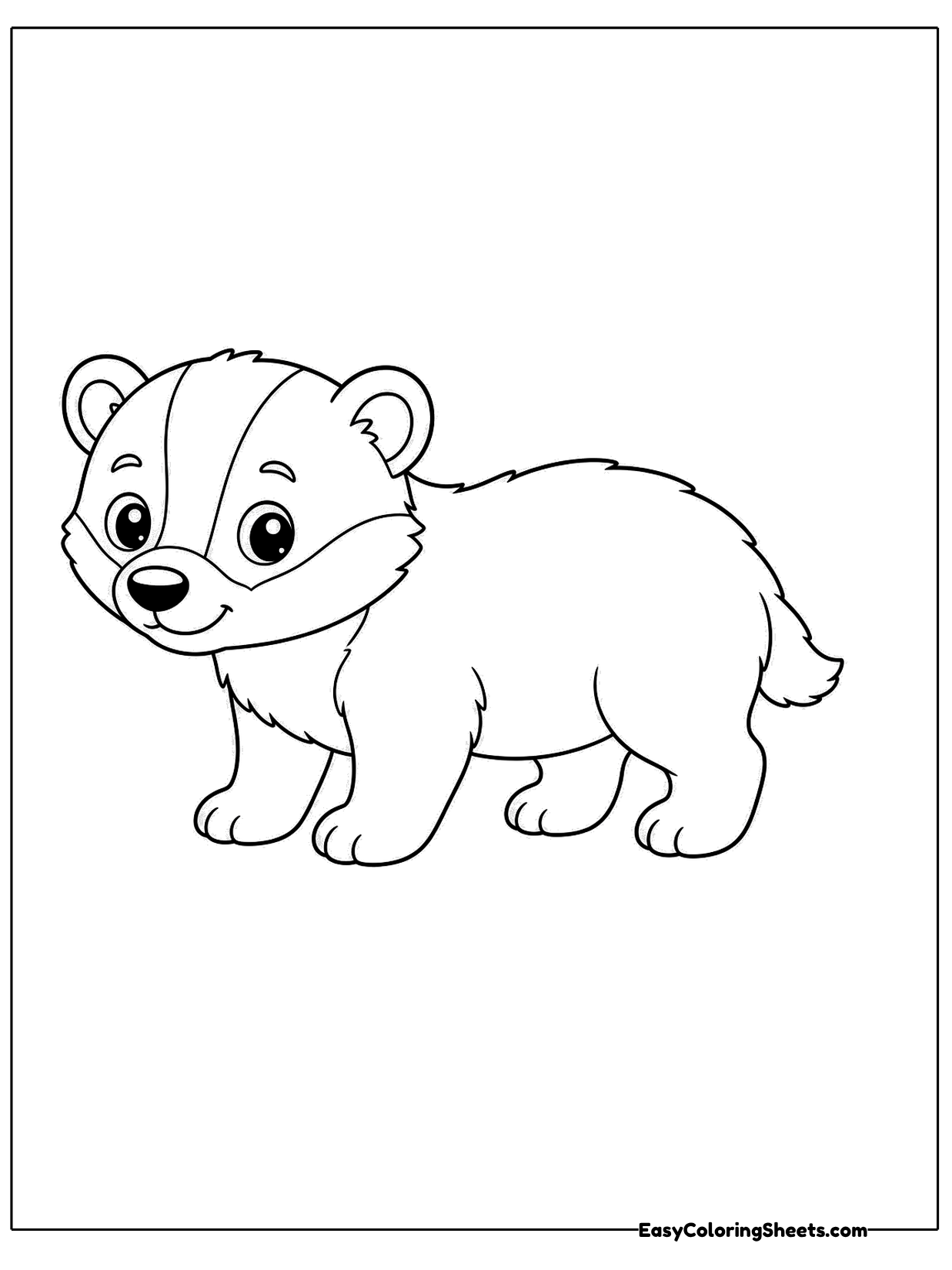 A small baby badger walks to the side with short legs and a rounded body.