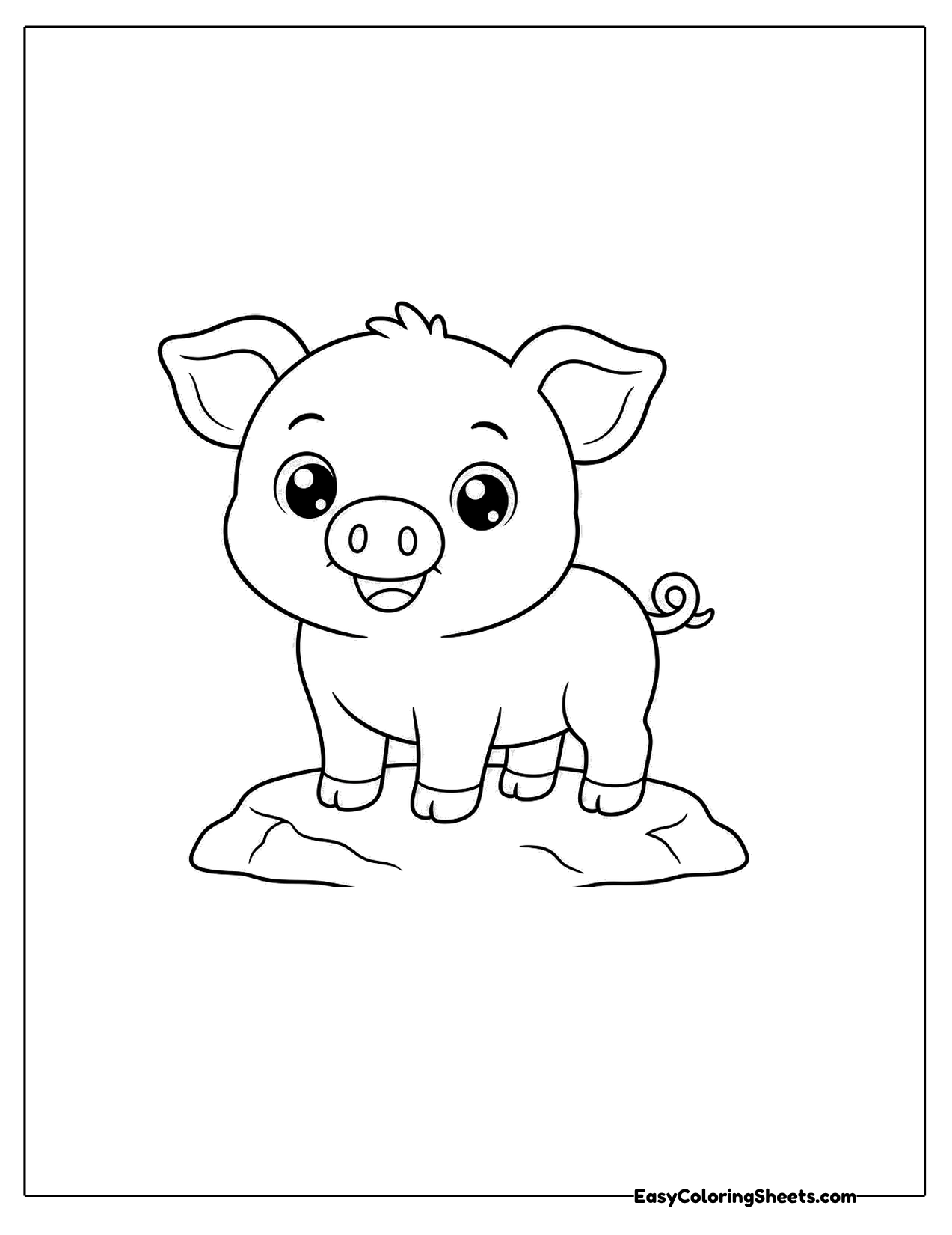 Pig standing on a flat rock