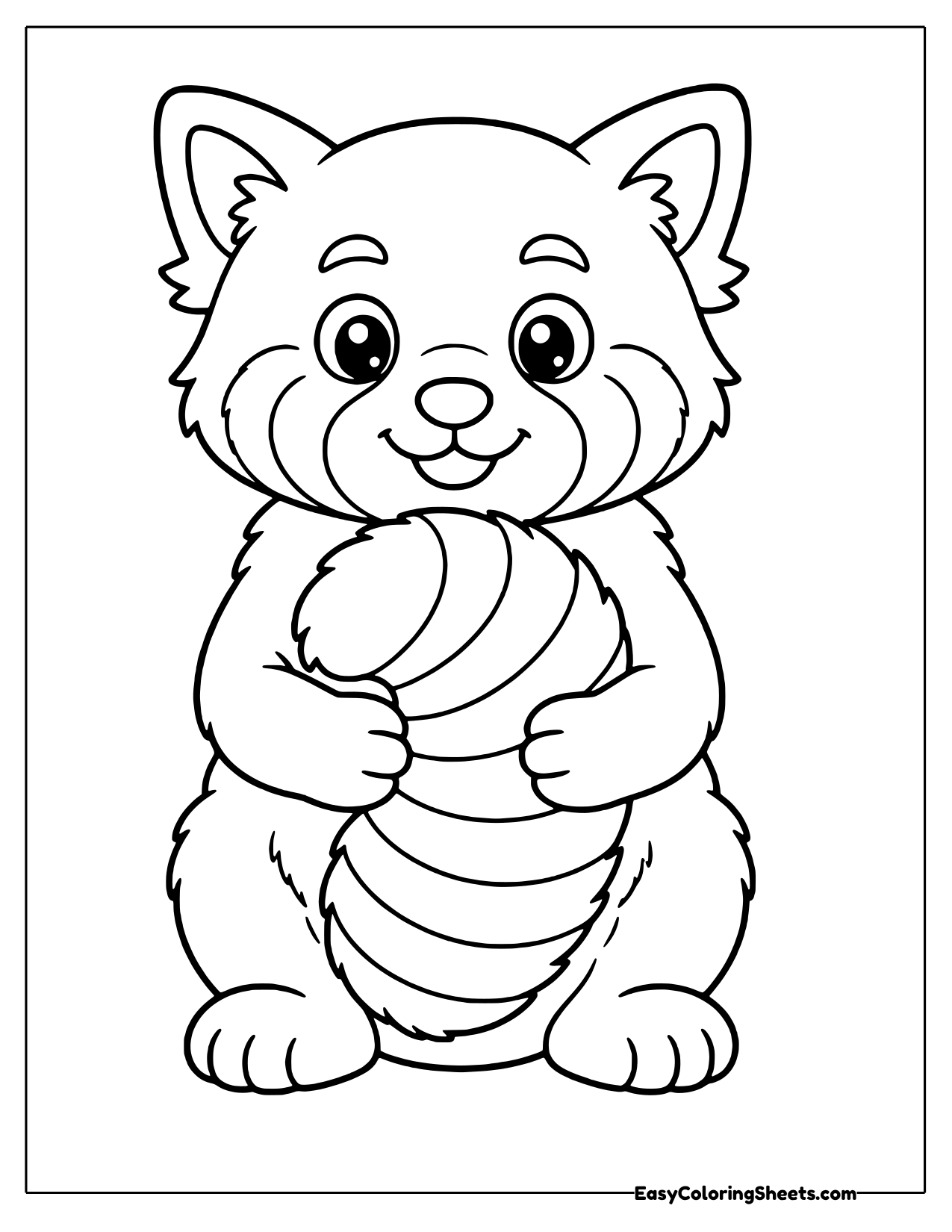 Sitting red panda hugging its own striped tail in front of its body
