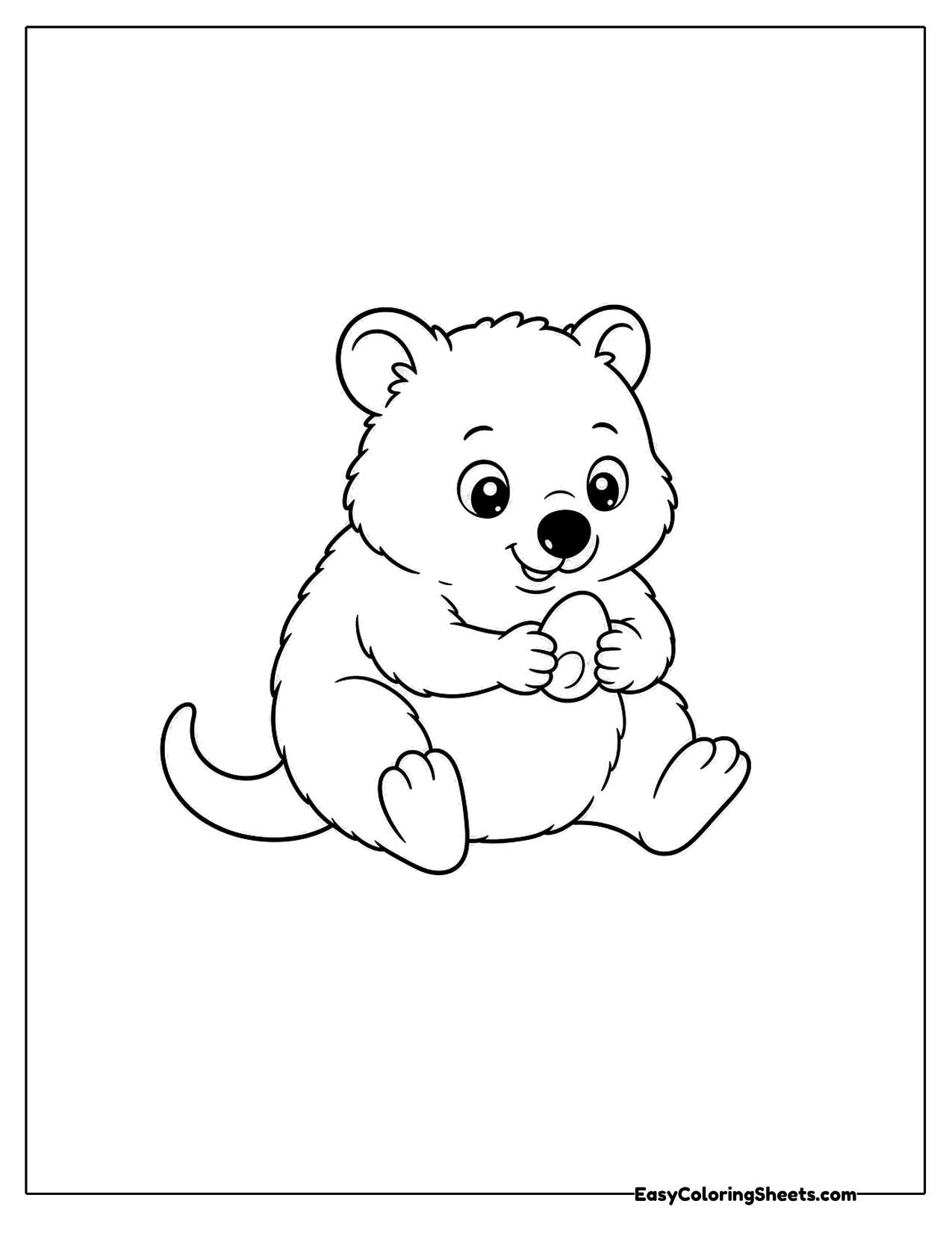 Quokka sitting with a pebble in its paws