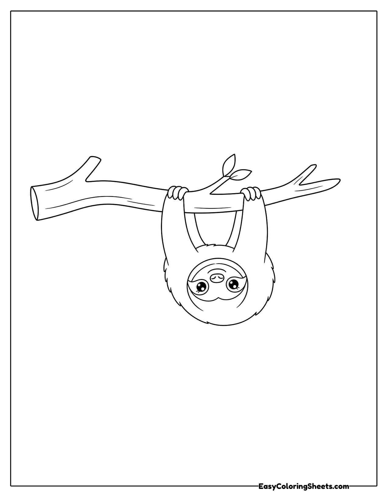 Small sloth hanging upside down from a thin branch