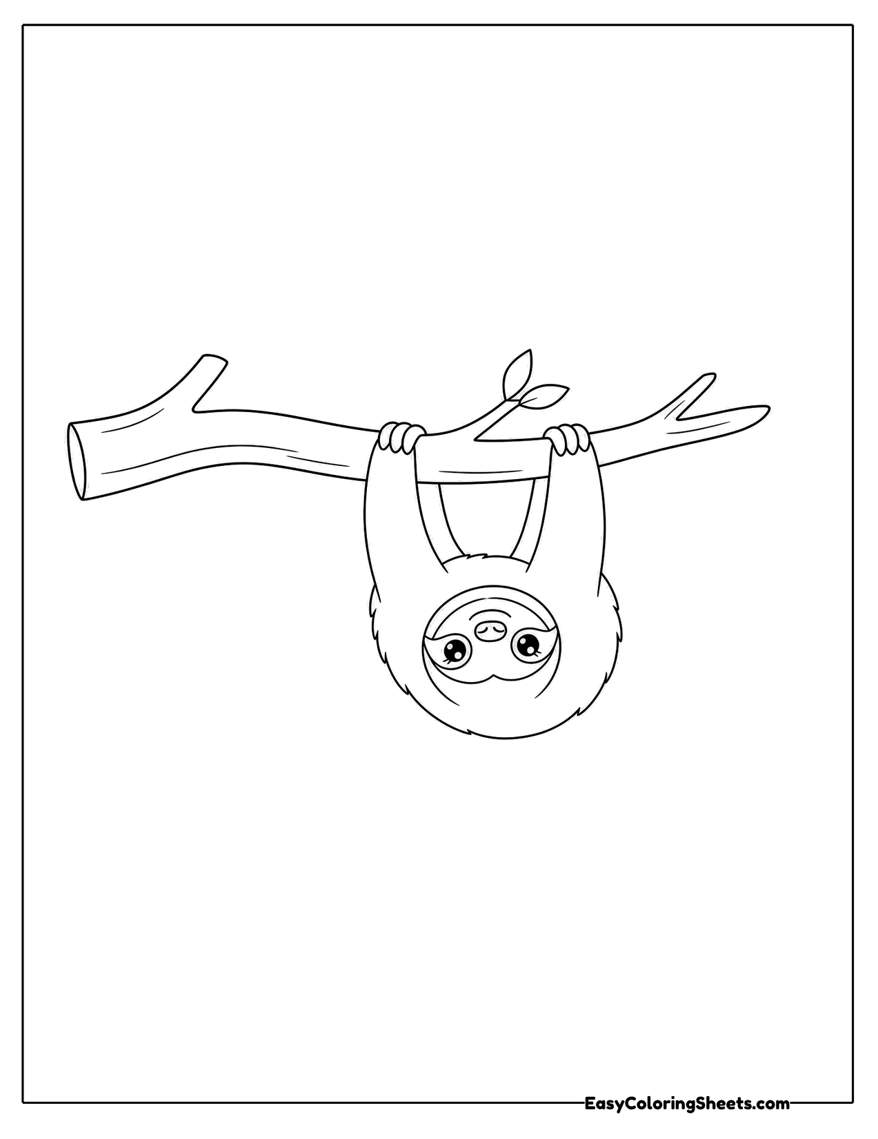 Small sloth hanging upside down from a thin branch