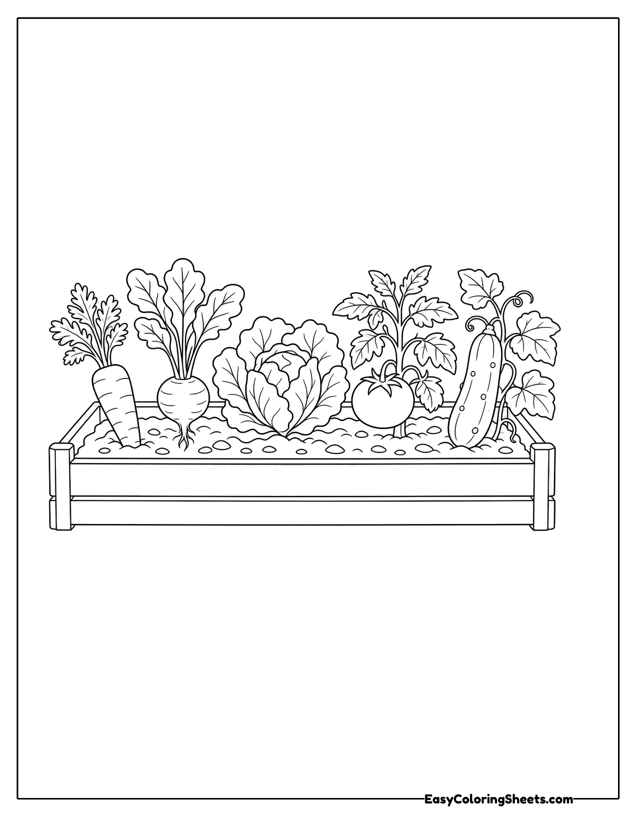 Vegetables growing in a raised garden bed