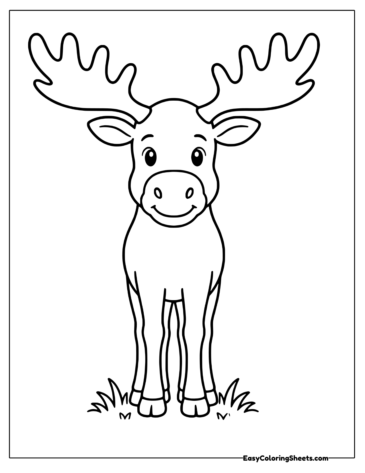 Moose facing forward in tall grass